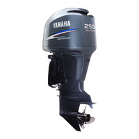 Yamaha FL250B Manual Del Propietário