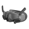 Manual de dji Goggles 2