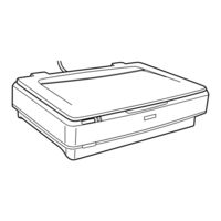 Epson Expression 13000XL Manual Del Usuario