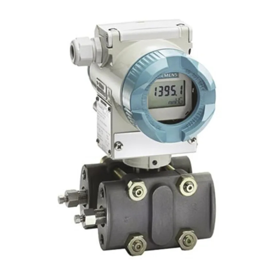 Siemens SITRANS P DS III Serie Instrucciones De Servicio