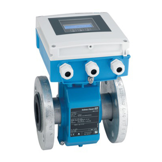 Endress+Hauser Proline Promag L 400 Manual De Instrucciones Abreviado