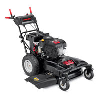 Troy-Bilt TB WC33 XP Manual Del Operador