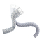 Medtronic Endurant