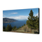 Monitores Sharp PN-V600 Manual De Instrucciones
