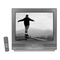 Sanyo DS27910