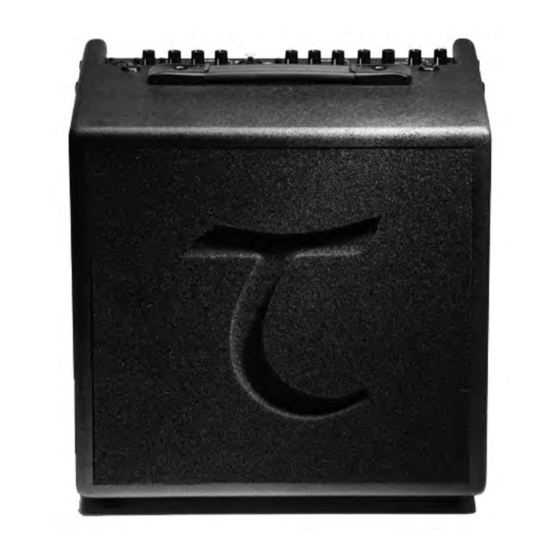Tanglewood T6 Manual De Instrucciones