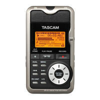 Tascam DR-2d Manual De Instrucciones