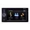 GPS Pioneer AVIC-F500BT Manual De Instrucciones