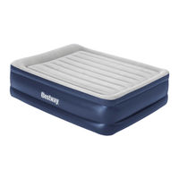 Bestway 67556 Manual Del Propietário