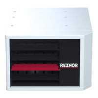 Reznor PHOTON-P Anexo De Instrucciones De Instalación