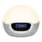 Lumie Bodyclock Shine 300 - Manual del Reloj Despertador con Luz de Amanecer