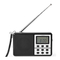Radio nedis RDWR1100BK Guia De Inicio Rapido