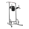 Retrospec Power Tower - Manual de gimnasio en casa