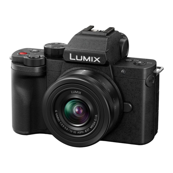 Panasonic Lumix DC-G100 Manuales