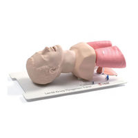 Laerdal Airway Management Trainer Instrucciones De Utilizacion