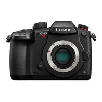 Panasonic Lumix DC-GH5S Instrucciones De Funcionamiento Para Características Avanzadas