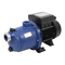 Pentair BLUEFLO LITE