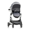 Manual del sistema de viaje con silla de coche infantil LiteMax, Evenflo Pivot Vizor