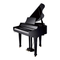 Roland HP109-PE