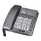 Teléfonos Amplicomms PowerTel 49 plus Manual De Instrucciones