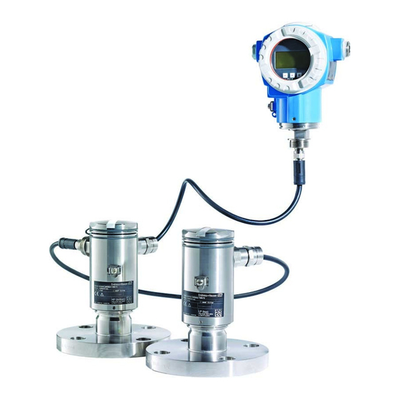Endress+Hauser Deltabar FMD71 Manual De Instrucciones