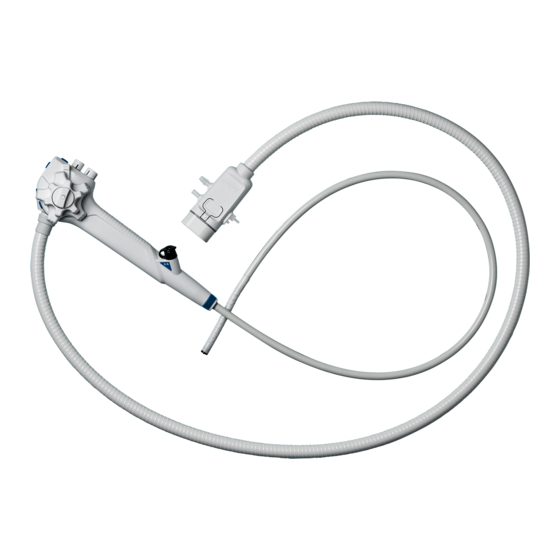 Ambu aScope Gastro Instrucciones De Uso