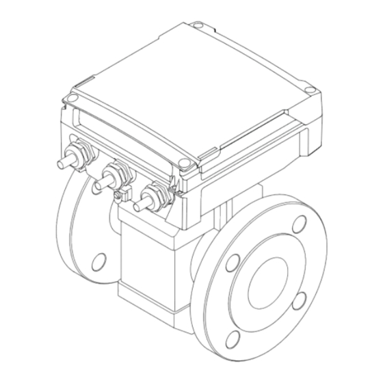 Endress+Hauser Proline Promag W 800 Manual De Instrucciones