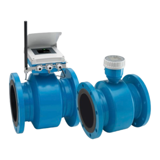 Endress+Hauser Proline Promag W 800 Información Técnica