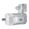 Siemens SIMOTICS DC 1GH7