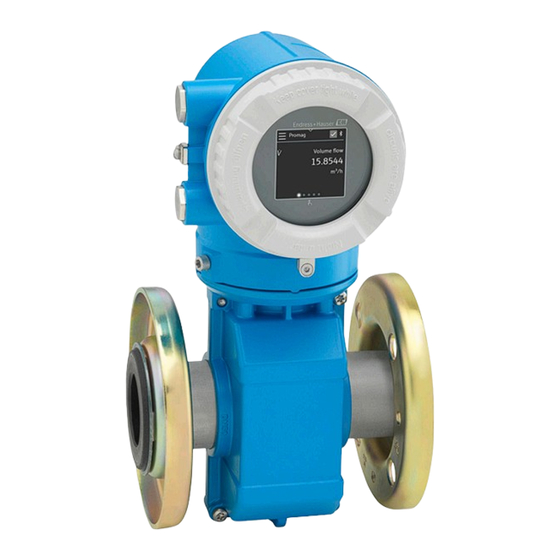 Endress+Hauser Proline Promag W 10 Manual De Instrucciones