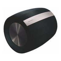 Bowers & Wilkins FORMATION BASS Manual De Instrucciones