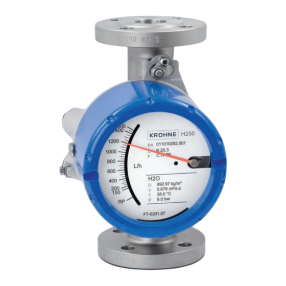 KROHNE H250 M40 Manual De Instrucciones