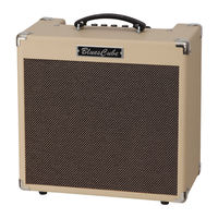 Roland Blues Cube Hot Manual Del Usuario