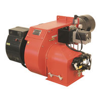Ecoflam MAIOR P 300.1 PR/MD Manual Del Usuario