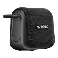 heysong VIBE Manual De Instrucciones