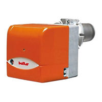 baltur BTG 20P Manual De Instrucciones De Uso