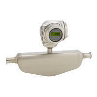 Endress+Hauser Proline Promag P 300 Manual De Instrucciones