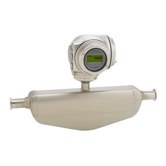 Endress+Hauser Proline Promass P 300 Manual De Instrucciones