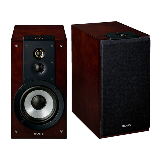 Sony SS-HW1 Manual De Instrucciones