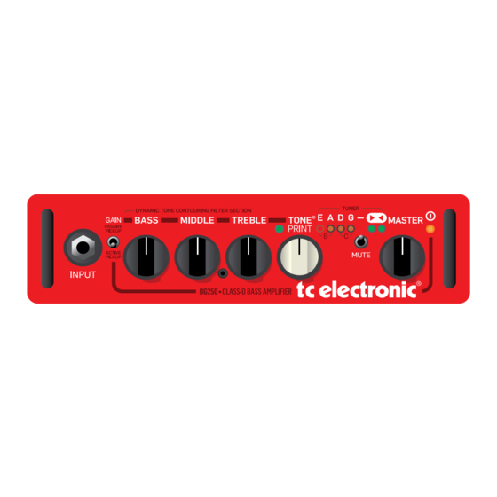 TC Electronic BH250 Manual De Instrucciones