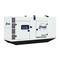 Generadores SDMO R300 Manual De Uso Y Mantenimiento