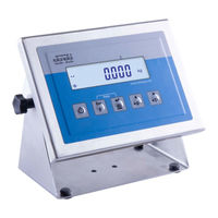 RADWAG PUE H315 Manual De Usuario