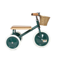 BANWOOD TRIKE Manual Del Usuario