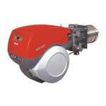 Riello RS 300/M BLU Instrucciones De Instalación, Uso Y Mantenimiento
