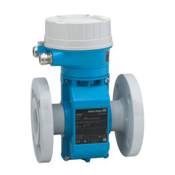 Endress+Hauser Proline Promag P 100 Manual De Instrucciones Abreviado