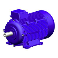 KSB IE3-Motor Manual De Instrucciones De Servicio/Montaje