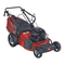 Cortacéspedes EINHELL RG-PM 48 B&S Manual De Instrucciones