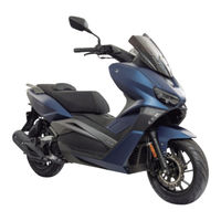 Zanella CRUISER X1 Manual