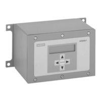 Siemens SITRANS F FUS1020 IP65 NEMA 4 Instrucciones De Servicio Resumidas