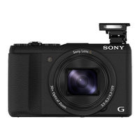 Sony Cyber-shot DSC-HX60 Guia De Ayuda